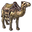 ON-icon-mount-Hammerfell Camel.png