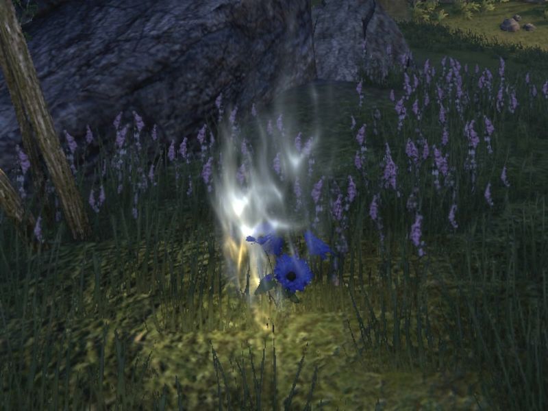 Файл:ON-misc-Keen Eye.jpg