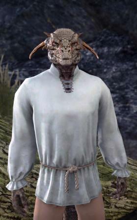 Файл:ON-npc-Gray-Skies.jpg
