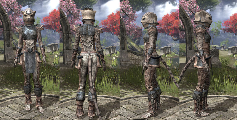 Файл:ON-item-armor-Iron-Khajiit-Female.jpg