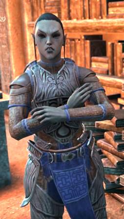 Файл:ON-npc-Vaveli Indavel-s.jpg