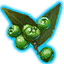 ON-icon-misc-Dawnwood Berries of Bloom.png