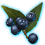 ON-icon-misc-Onyx Berries of Bloom.png