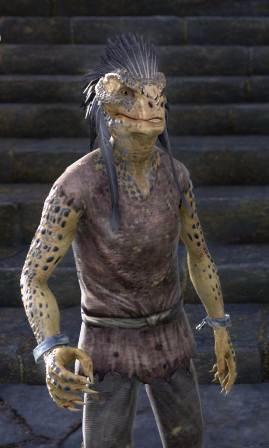 Файл:ON-npc-Eoki.jpg