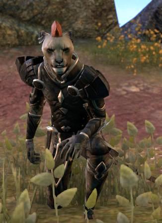 Файл:ON-npc-Razum-dar 03.jpg