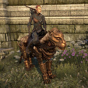 ON-mount-Dwarven Senche.jpg