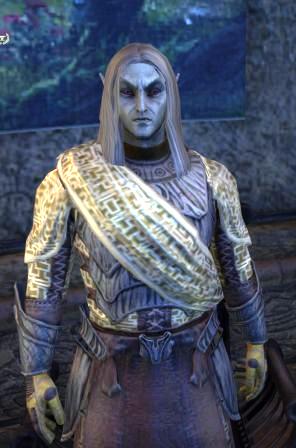 Файл:ON-npc-Councilor Rayveth.jpg