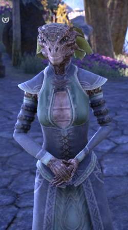 Файл:ON-npc-Sun-in-Shadow.jpg