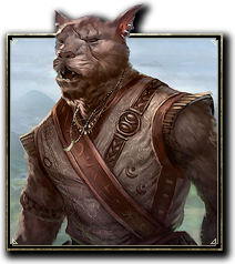 ON-race-Khajiit.jpg