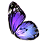 ON-icon-reagent-Butterfly Wing.png