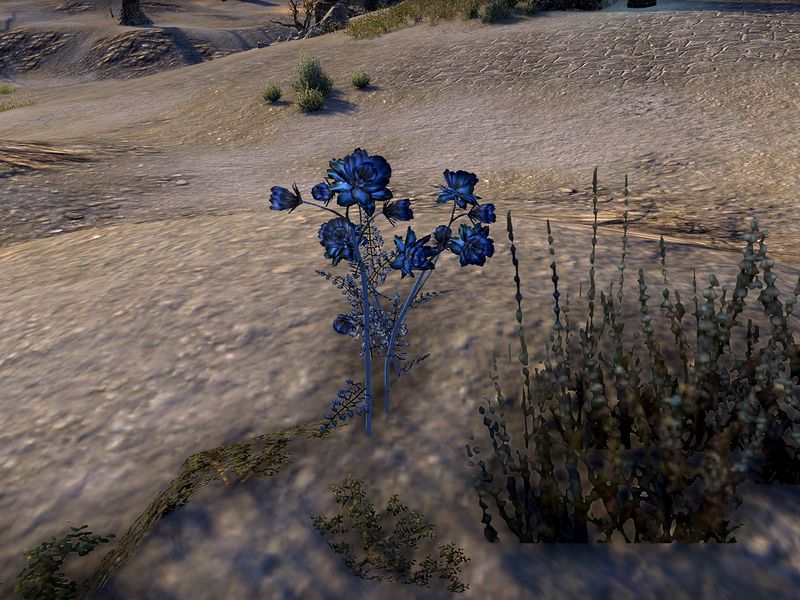 Файл:ON-node-Void Bloom.jpg