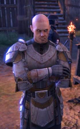 Файл:ON-npc-Sergeant Armoil Viranes.jpg