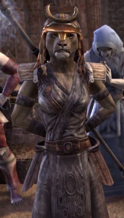 Файл:ON-npc-Shazah 02.jpg