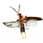 ON-icon-reagent-Torchbug Thorax.png