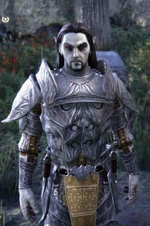 Файл:ON-npc-Watch Captain Bethes.jpg