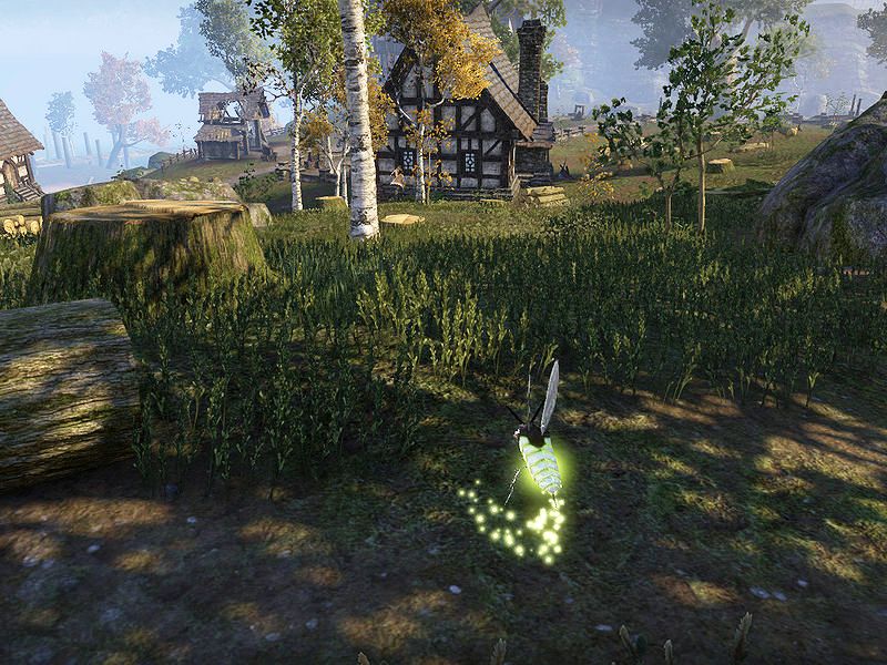 Файл:ON-quest-Turning of the Trees.jpg