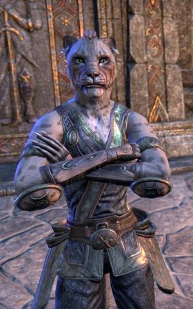 Файл:ON-npc-Adara'hai 01.jpg