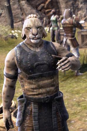 Файл:ON-npc-Silver-Paws.jpg