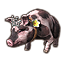 ON-icon-pet-Sovereign Sow.png