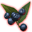 ON-icon-misc-Onyx Berries of Growth.png