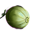 ON-icon-food-Melon.png