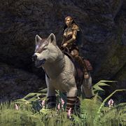 ON-mount-Ice Wolf Mount.png