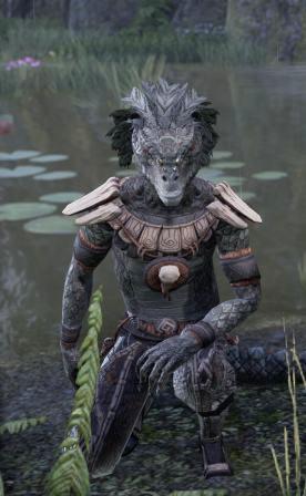 Файл:ON-npc-Nisswo Xode.jpg