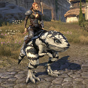 ON-mount-Shadowghost Guar.jpg