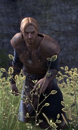 Файл:ON-npc-Recruit Sorais.jpg