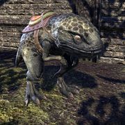 ON-mount-Tessellated Guar.jpg