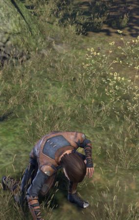 Файл:ON-npc-Corporal Aldouin.jpg