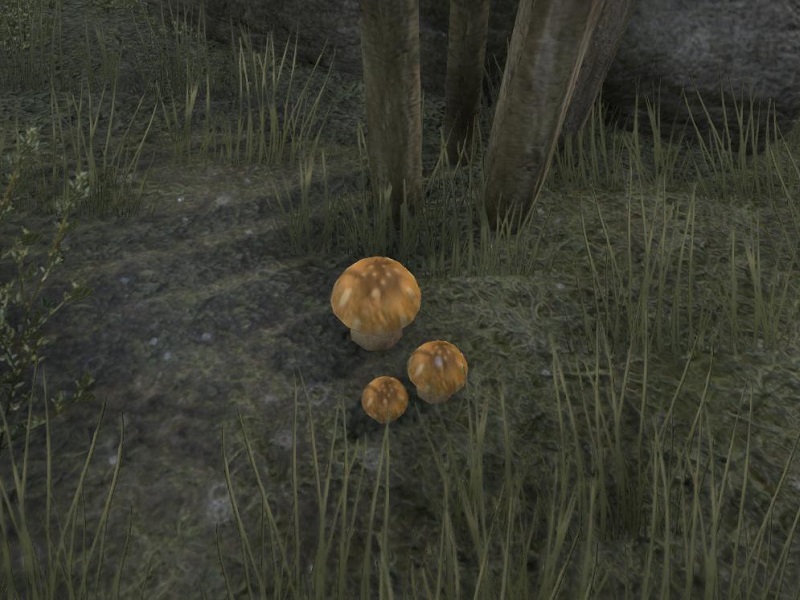 Файл:ON-node-Imp Stool.jpg