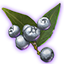 ON-icon-misc-Pure-Snow Berries of Budding.png