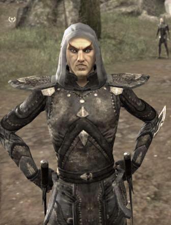 Файл:ON-npc-Commander Parmion.jpg