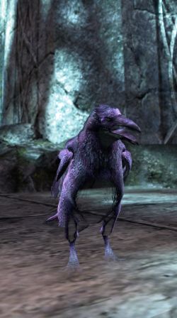 Файл:ON-npc-Duke of Crows.jpg