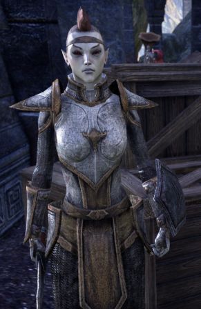 Файл:ON-npc-Defender Maera.jpg