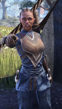 ON-npc-Alik'r Champion 01.jpg