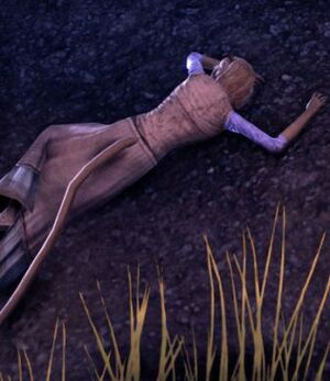 ON-quest-A Story Told in Footprints 01.jpg