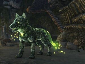 ON-pet-Gloomspore Wolf Pup.jpg