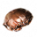 ON-icon-reagent-Mudcrab Chitin.png