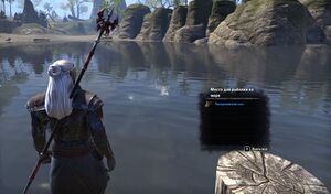 ON-place-fish-Pyandonean Ray 01.jpg