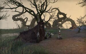 ON-quest-Wicked Trade 05.jpg