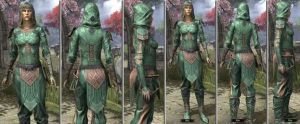 ON-item-armor-Homespun-f-Ancient Orc Style.jpg