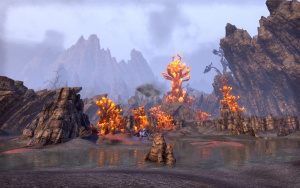 ON-place-Vivec's Antlers 03.jpg