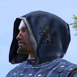 ON-hat-Alliance Rider Hood (Covenant).jpg