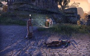 ON-quest-Gift from a Suitor.jpg