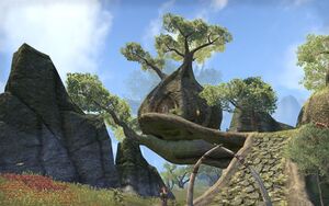 ON-place-Treethane's Chambers.jpg