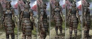 ON-item-armor-Iron-f-Akaviri Style.jpg