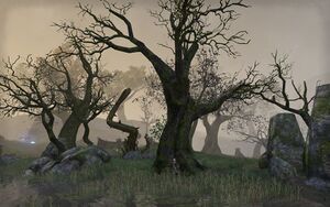 ON-place-Mire Falls.jpg