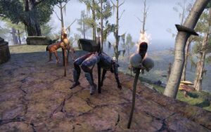 ON-quest-Family Reunion 03.jpg
